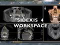 SIDEXIS 4: WORKSPACE