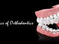 2 - Basics of Orthodontics