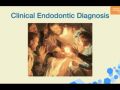 Endodontic Diagnosis - Part 1 SOAP Format